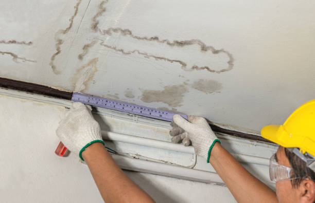 Reliable Water Damage contractor in Martinsburg, WV by Water Damage Irwin